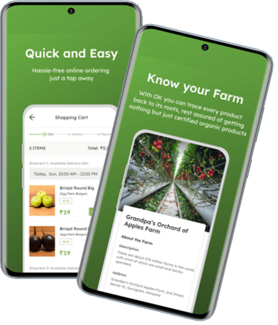 Organic Kitchen Case Study